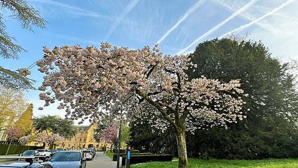 113年4月13日(星期六)盧森堡聖彌額爾教堂輕軌晚餐113