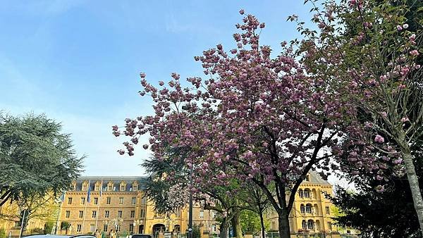 113年4月13日(星期六)盧森堡聖彌額爾教堂輕軌晚餐113