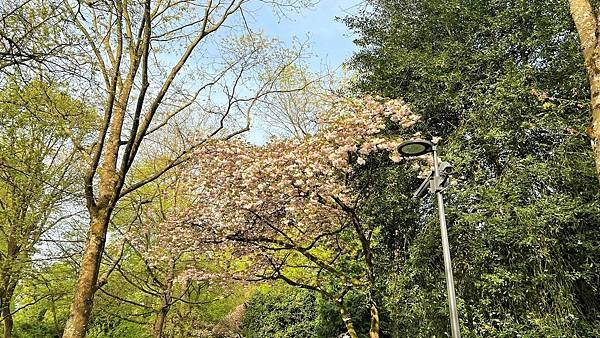 113年4月13日(星期六)盧森堡聖彌額爾教堂輕軌晚餐113