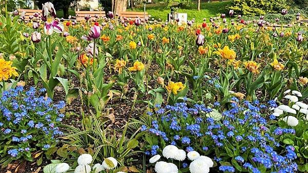 113年4月13日(星期六)盧森堡聖彌額爾教堂輕軌晚餐113