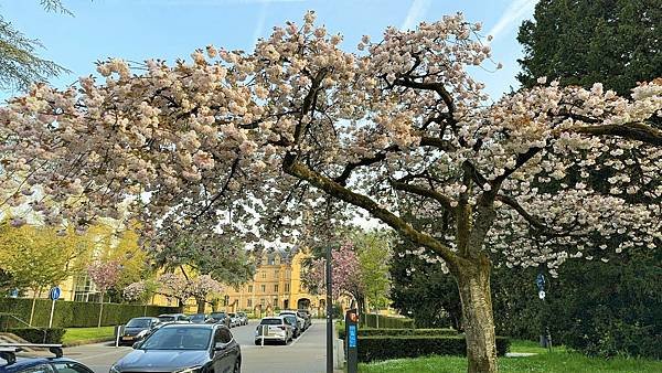 113年4月13日(星期六)盧森堡聖彌額爾教堂輕軌晚餐113