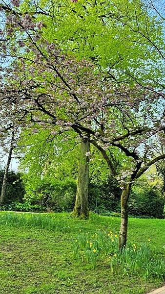 113年4月13日(星期六)盧森堡聖彌額爾教堂輕軌晚餐113