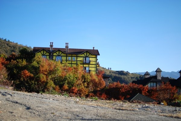 DSC_0292.JPG