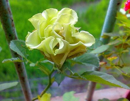 201108185432.jpg