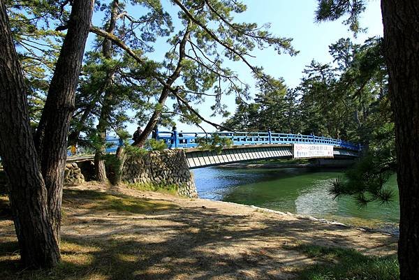 天橋立松林步道健行-53.JPG