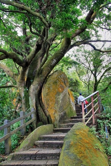 丁酉年新春北市象山行