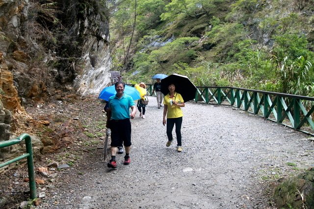 白楊步道健行-80.JPG - 桃園市蘆竹區太極拳委員會109年10月22日~23日秋季旅遊花蓮二日遊-白楊步道水濂洞之旅花絮