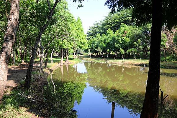 嘉義太保魚寮遺址-5.JPG