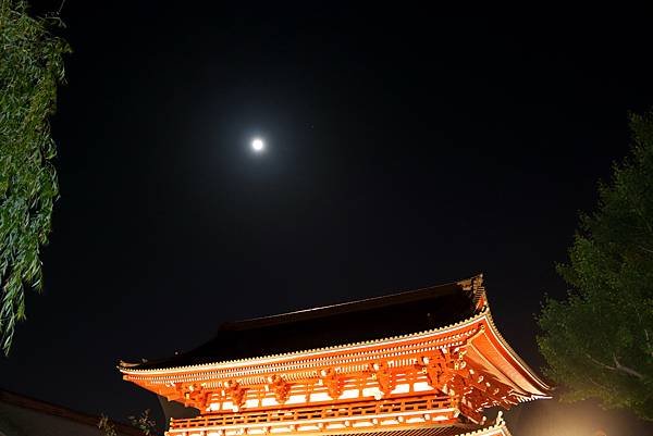 夜訪金龍山淺草寺-26.JPG