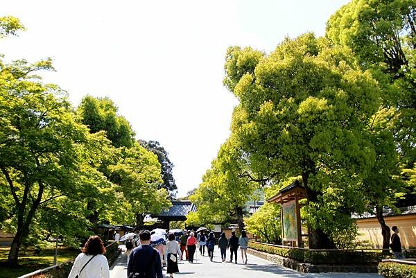 鹿苑金閣寺-3.JPG