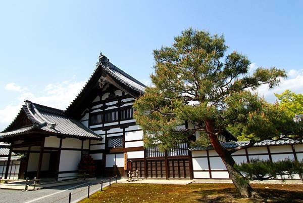 鹿苑金閣寺-10.JPG