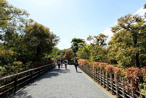 鹿苑金閣寺-11.JPG