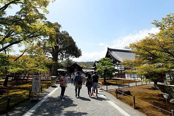 鹿苑金閣寺-9.JPG