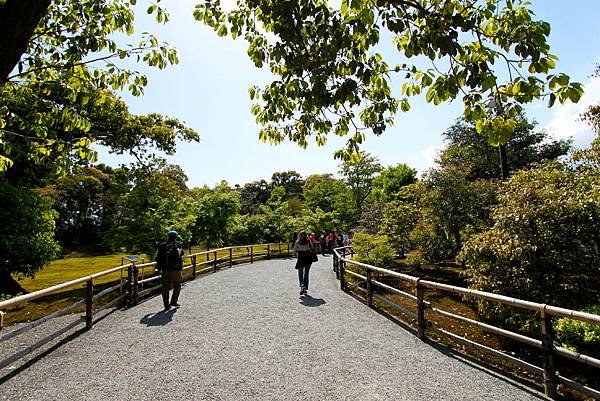 鹿苑金閣寺-12.JPG