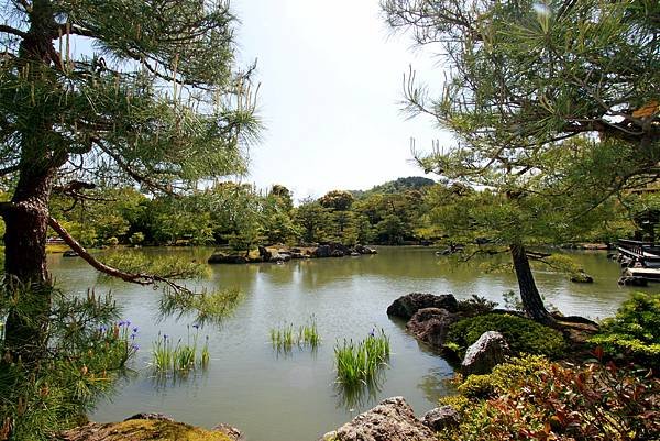 鹿苑金閣寺-23.JPG