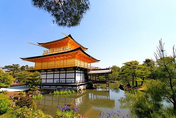 鹿苑金閣寺-27.JPG