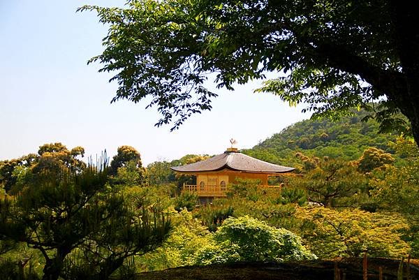 鹿苑金閣寺-39.JPG