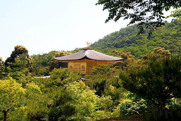 鹿苑金閣寺-40.JPG