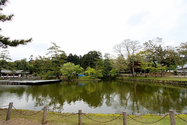 京都奈良公園巡禮.JPG