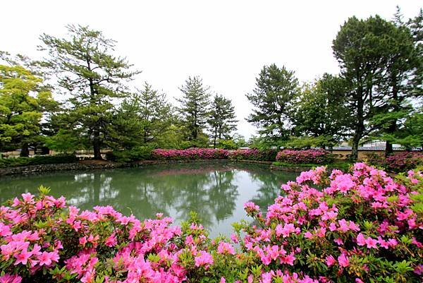 京都法隆寺朝聖-32.JPG