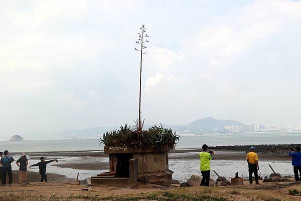 雙口海邊.JPG