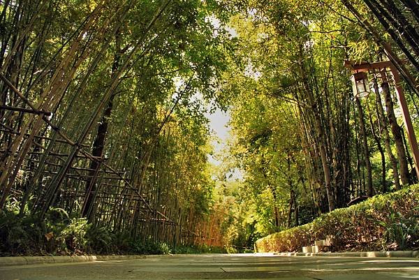訾家洲風景區-49.JPG