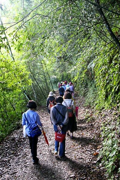 藤枝森林公園之旅-34-1.JPG