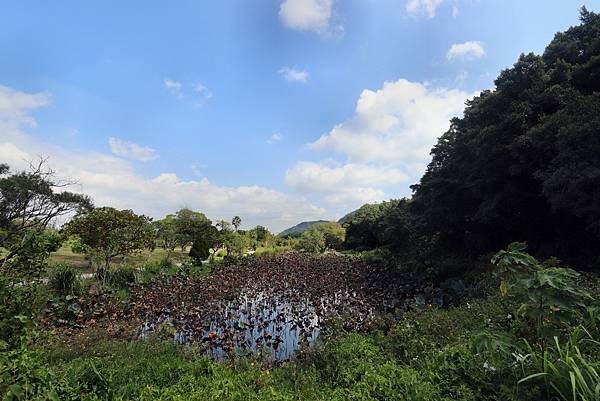 太極拳半日遊-3.JPG