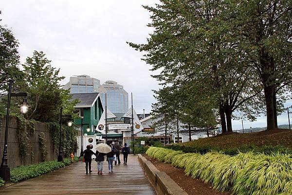 哈利法克斯街景-37.JPG
