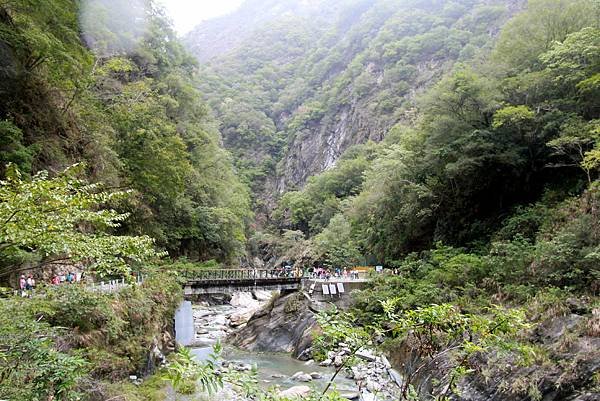 白楊步道健行-12.JPG