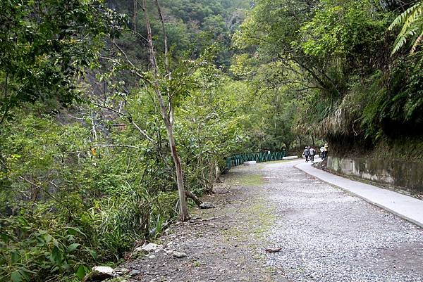 白楊步道健行-13.JPG