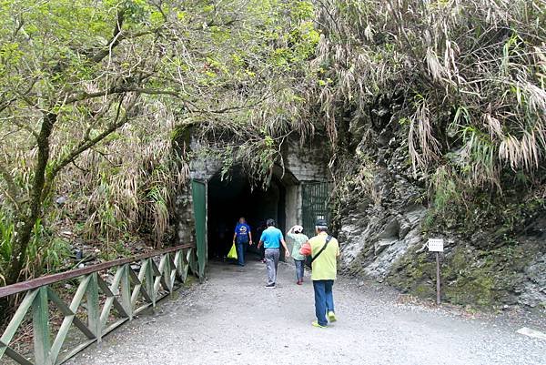 白楊步道健行-15.JPG