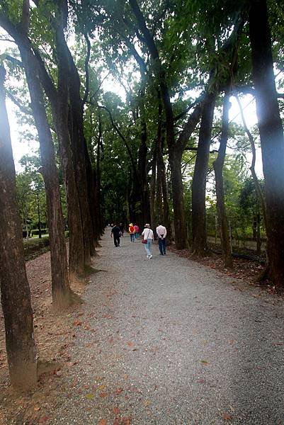 新威森林公園-16.JPG