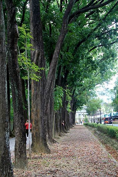 新威森林公園-28.JPG