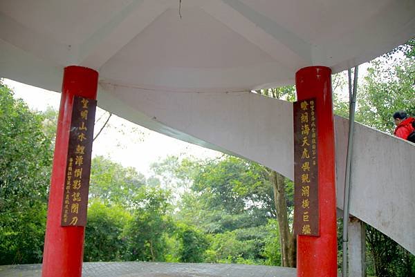 薑麻園桐花出關步道-18.JPG