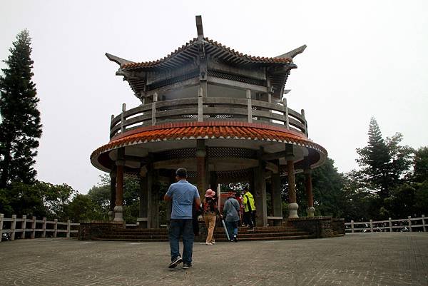 薑麻園桐花出關步道-26.JPG