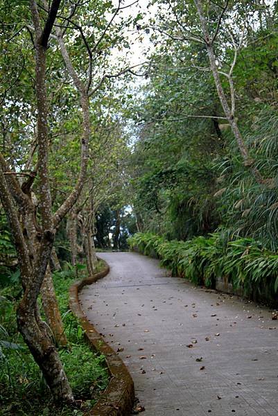 薑麻園桐花出關步道-32.JPG