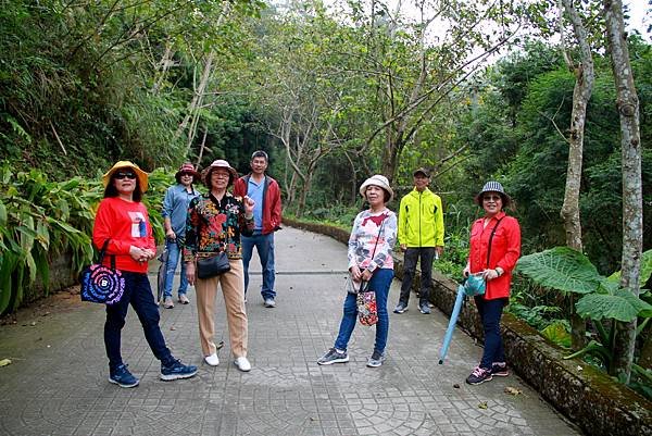 薑麻園桐花出關步道-34.JPG