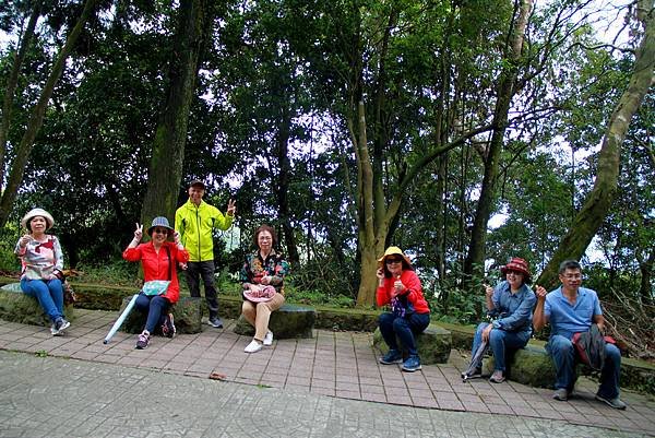 薑麻園桐花出關步道-51.JPG