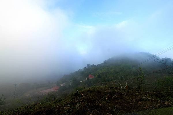 竹林美瓏山之旅-9.JPG