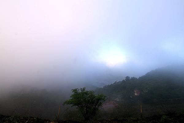 竹林美瓏山之旅-10.JPG