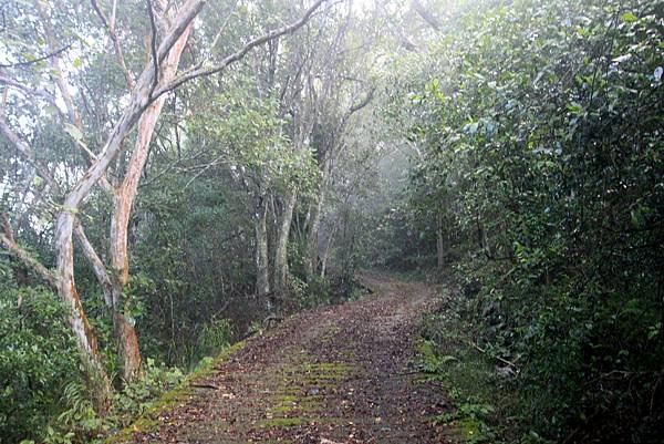 竹林美瓏山之旅-23.JPG