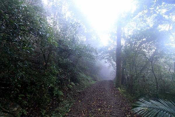 竹林美瓏山之旅-29.JPG