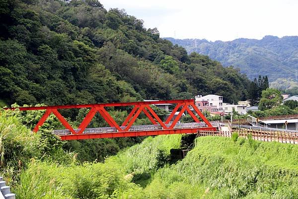 苗栗薑麻園之旅-8.JPG