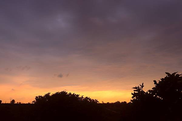 10月29日農區田野夕陽之美.JPG