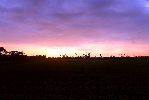 10月29日農區田野夕陽之美-3.JPG