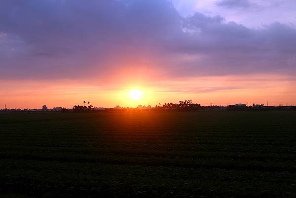 10月29日農區田野夕陽之美-8.JPG