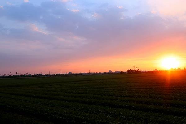 10月29日農區田野夕陽之美-11.JPG