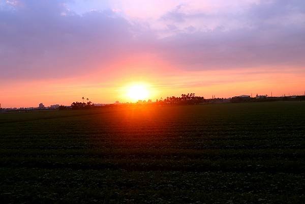 10月29日農區田野夕陽之美-10.JPG