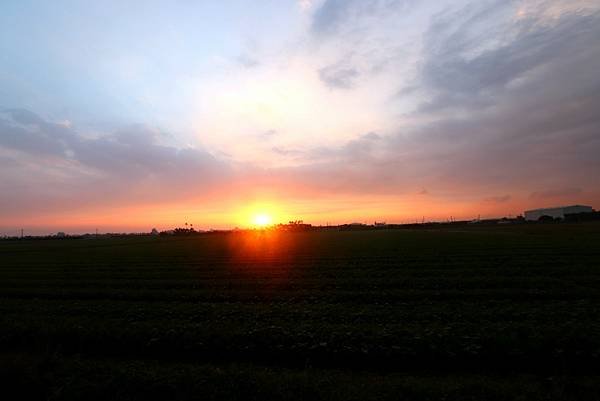 10月29日農區田野夕陽之美-13.JPG